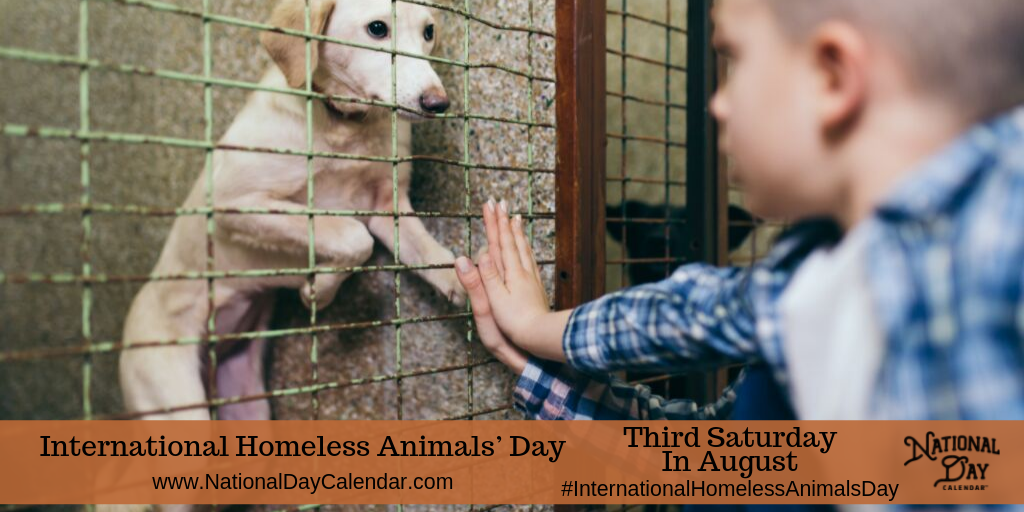 INTERNATIONAL HOMELESS ANIMALS’ DAY – Third Saturday in August