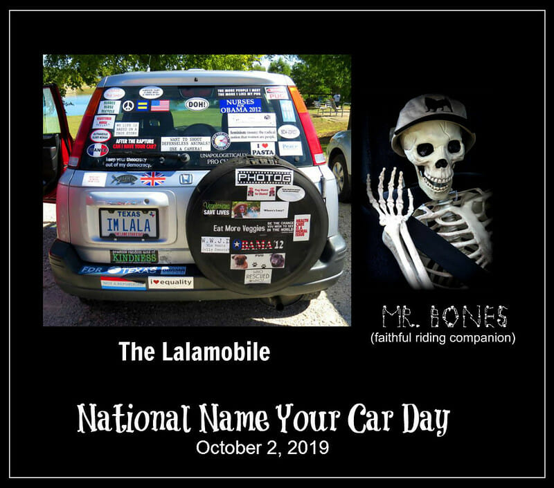 Fay Stout bumper stickers