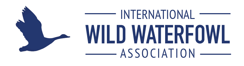 World Waterfowl Day