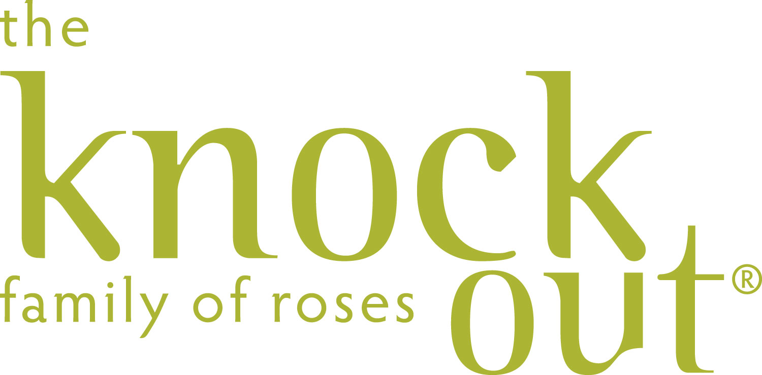 National Knock Out® Rose Day