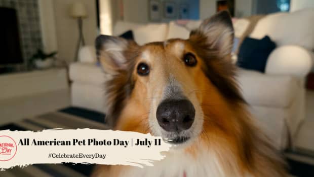 All American Pet Photo Day | July 11