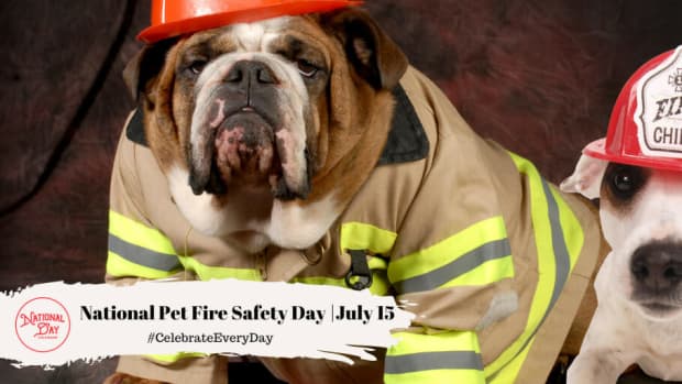 National Pet Fire Safety Day |July 15