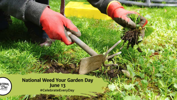 National Weed Your Garden Day | June 13