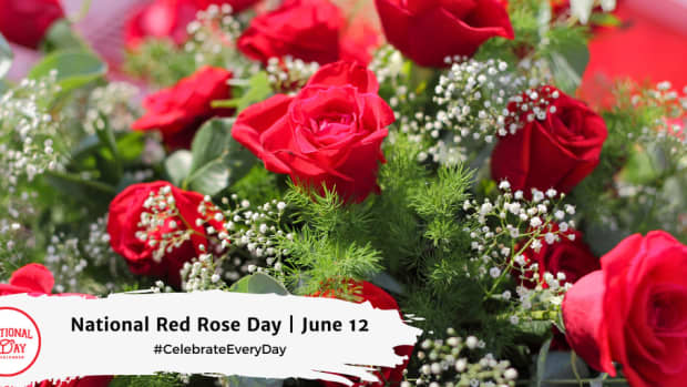 National Red Rose Day | June 12