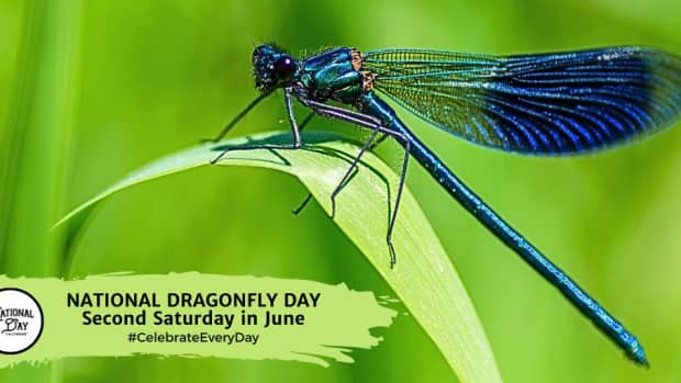 NATIONAL DRAGONFLY DAY Second Saturday in June