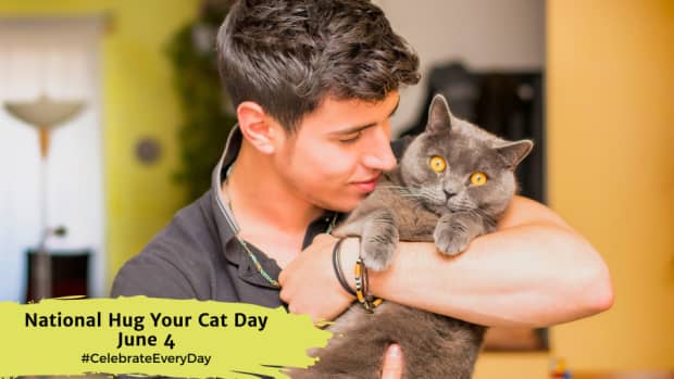 National Hug Your Cat Day | June 4