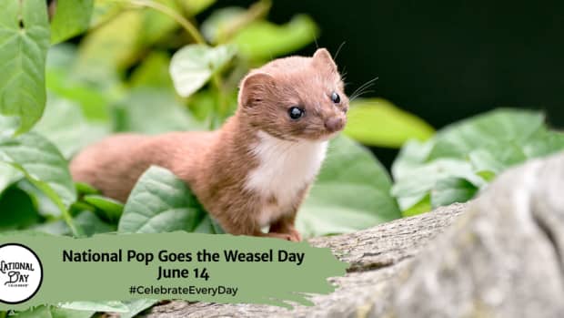 National Pop Goes the Weasel Day | June 14