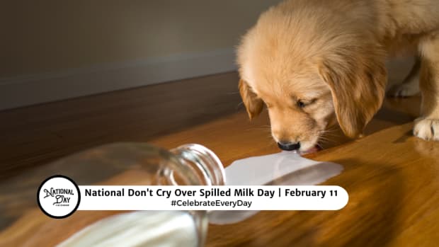 NATIONAL DON’T CRY OVER SPILLED MILK DAY - February 11 