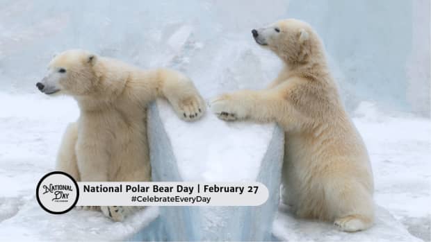 NATIONAL POLAR BEAR DAY - February 27 
