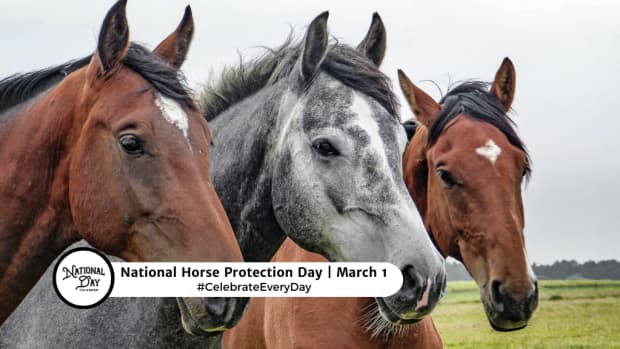 NATIONAL HORSE PROTECTION DAY  March 1
