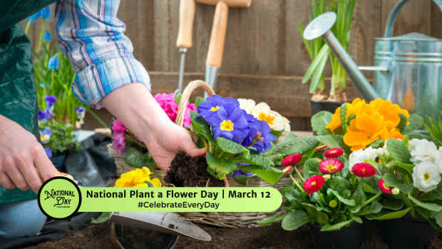 NATIONAL PLANT A FLOWER DAY  March 12