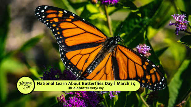 NATIONAL LEARN ABOUT BUTTERFLIES DAY  March 14