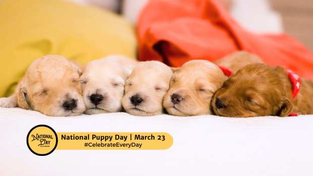 NATIONAL PUPPY DAY  March 23