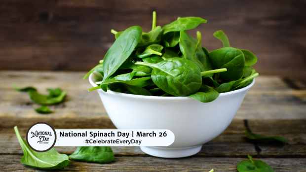 NATIONAL SPINACH DAY  March 26