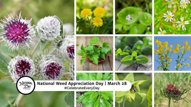 NATIONAL WEED APPRECIATION DAY  March 28