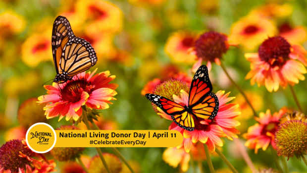 NATIONAL LIVING DONOR DAY  April 11