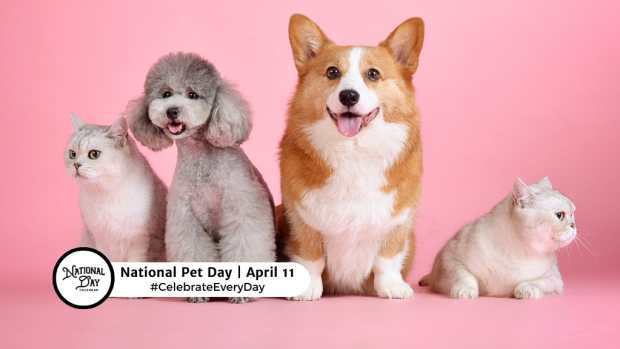 NATIONAL PET DAY  April 11