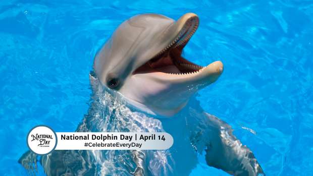 NATIONAL DOLPHIN DAY  April 14