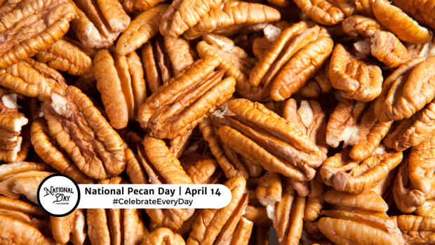 NATIONAL PECAN DAY   April 14