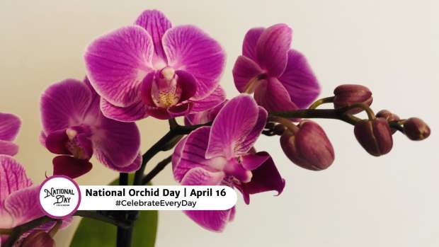 NATIONAL ORCHID DAY  April 16
