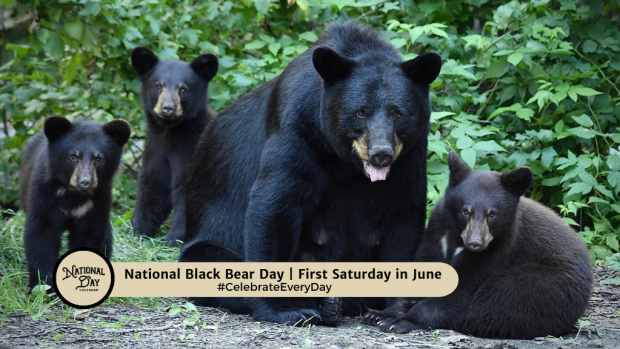 NATIONAL BLACK BEAR DAY | First Saturday in June