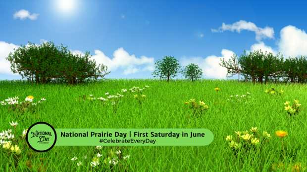 NATIONAL PRAIRIE DAY | First Saturday in June