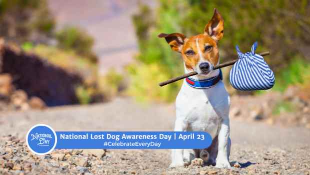 NATIONAL LOST DOG AWARENESS DAY  April 23