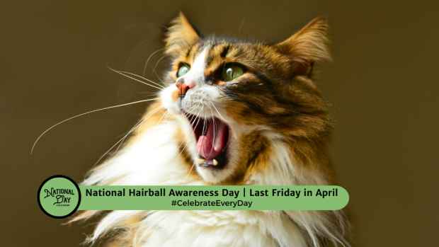 NATIONAL HAIRBALL AWARENESS DAY  Last Friday in April