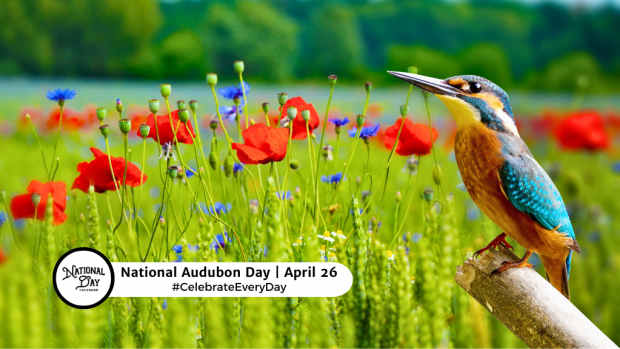 NATIONAL AUDUBON DAY  April 26