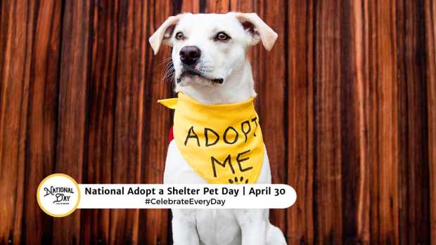 NATIONAL ADOPT A SHELTER PET DAY  April 30