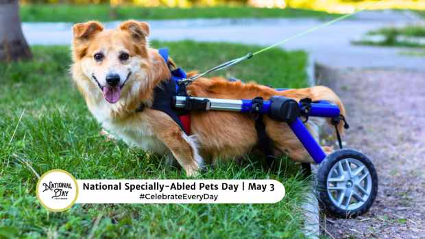 NATIONAL SPECIALLY-ABLED PETS DAY  May 3