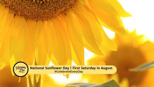 NATIONAL SUNFLOWER DAY | First Saturday in August