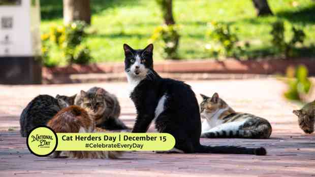 Cat Herders Day