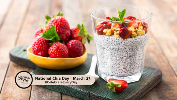 National Chia Day | March 23