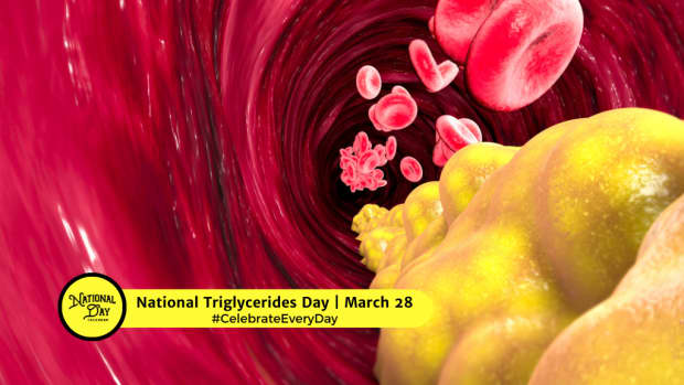 National Triglyceride Day | March 28