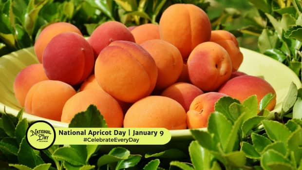 National Apricot Day