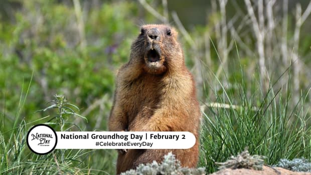 NATIONAL GROUNDHOG DAY - February 2 