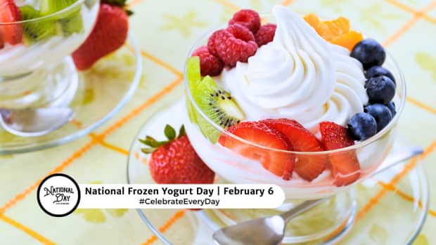 NATIONAL FROZEN YOGURT DAY - February 6 