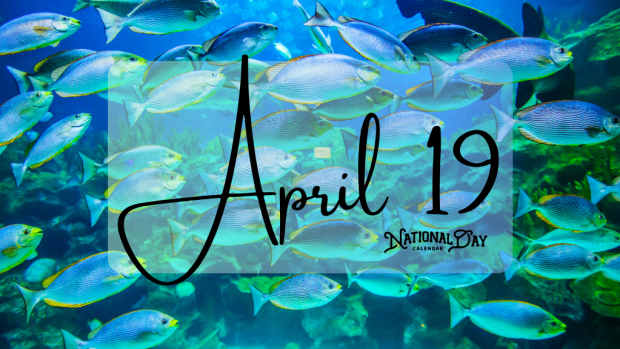 APRIL 17 | Birthdays and Events