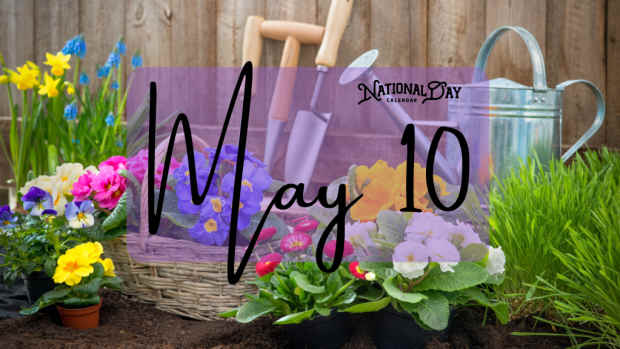 MAY 10 | Birthdays and Events