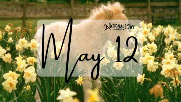 MAY 12 | Birthdays and Events