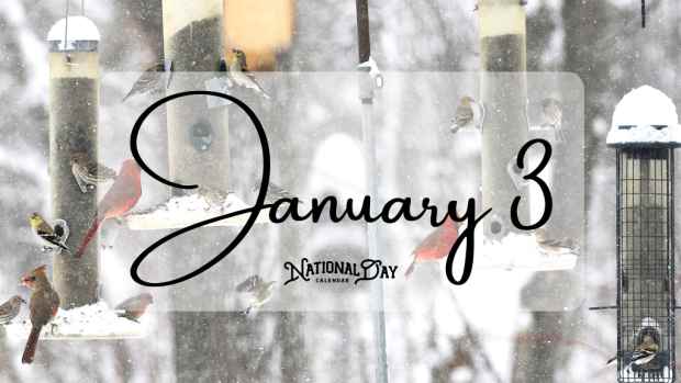 3rd of january day