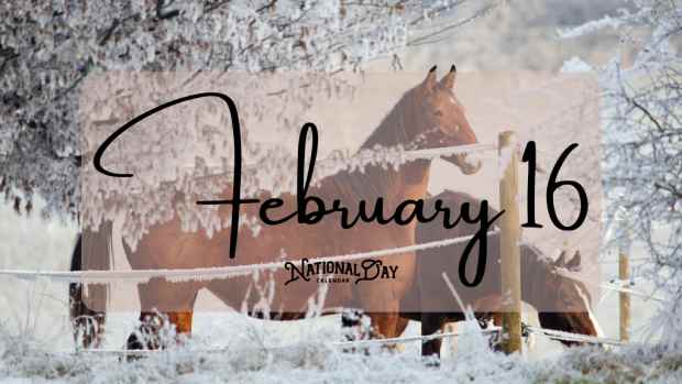 February 16 | Birthdays and Events