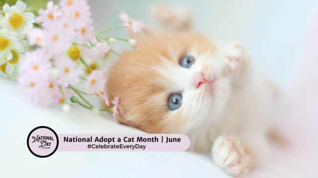 NATIONAL ADOPT A CAT MONTH | June