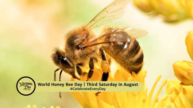 WORLD HONEY BEE DAY | Third Saturday in August