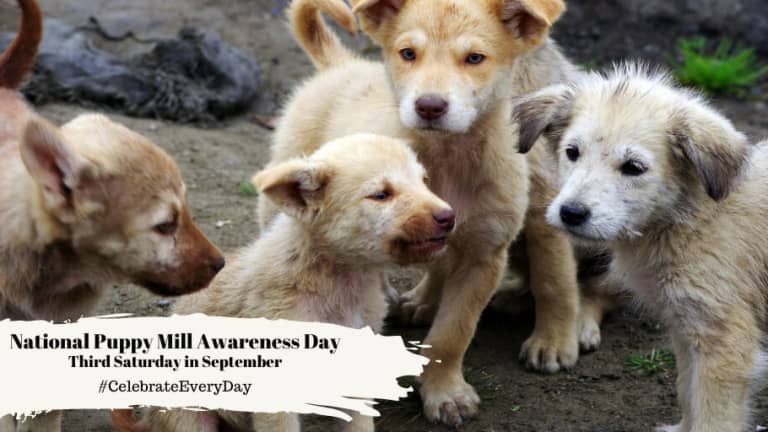 Puppy Mill Awareness Day 2025 Date