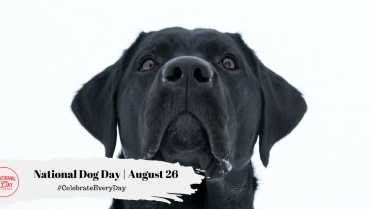 NATIONAL DOG DAY - August 26