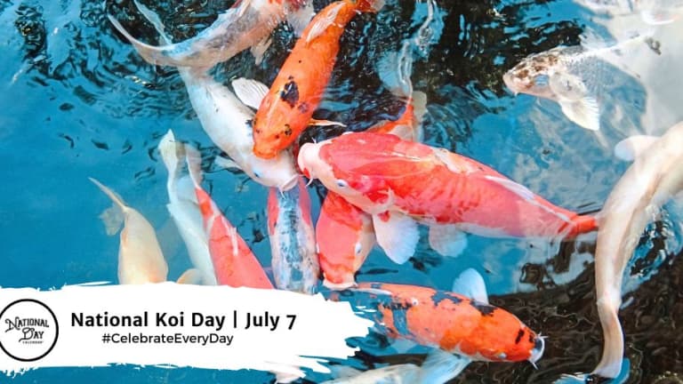 NATIONAL KOI DAY  July 7 - National Day Calendar
