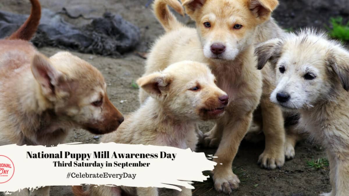 Puppy Mill Awareness Day 2025 Date