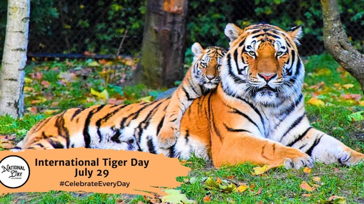 International Tiger Day: Fascinating Facts About the Biggest Wild Cats